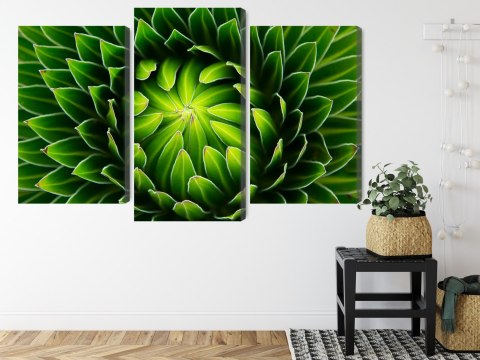 Obraz Wieloczęściowy Zielona Roślina W Skali Makro Canvas Naturalny 180x120 LBS-3709-NC180-120_1X60-120_2X60-90