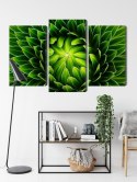 Obraz Wieloczęściowy Zielona Roślina W Skali Makro Canvas Naturalny 180x120 LBS-3709-NC180-120_1X60-120_2X60-90