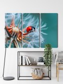 Obraz Wieloczęściowy Biedronka Na Mniszku Lekarskim W Skali Makro Canvas 150x100 LBS-3643-C150-100_3X50-100