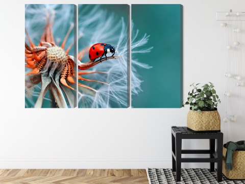 Obraz Wieloczęściowy Biedronka Na Mniszku Lekarskim W Skali Makro Canvas 180x120 LBS-3643-C180-120_3X60-120