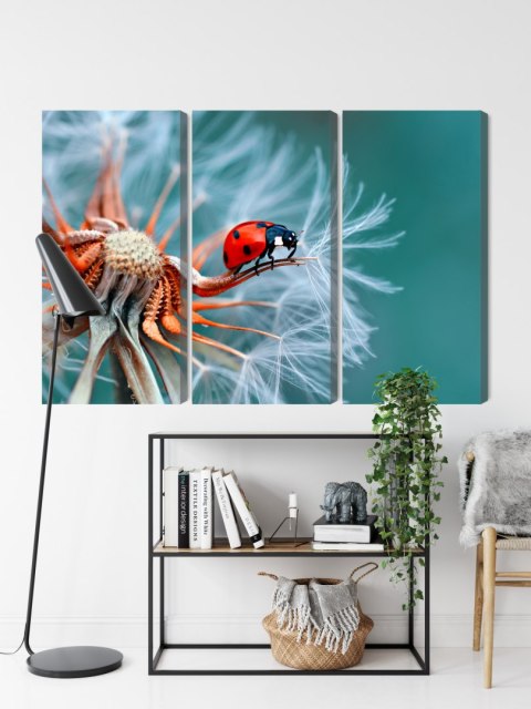 Obraz Wieloczęściowy Biedronka Na Mniszku Lekarskim W Skali Makro Canvas Naturalny 150x100 LBS-3643-NC150-100_3X50-100