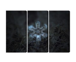 Obraz Wieloczęściowy Płatek Śniegu W Makroskali 3D Canvas Naturalny 180x120 LBS-3833-NC180-120_3X60-120