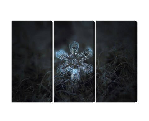 Obraz Wieloczęściowy Płatek Śniegu W Makroskali 3D Canvas Naturalny 180x120 LBS-3833-NC180-120_3X60-120