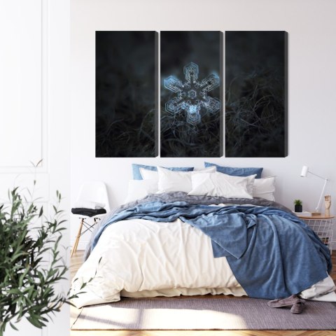 Obraz Wieloczęściowy Płatek Śniegu W Makroskali 3D Canvas Naturalny 180x120 LBS-3833-NC180-120_3X60-120