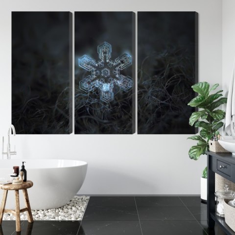 Obraz Wieloczęściowy Płatek Śniegu W Makroskali 3D Canvas Naturalny 180x120 LBS-3833-NC180-120_3X60-120