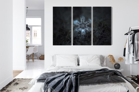 Obraz Wieloczęściowy Płatek Śniegu W Makroskali 3D Canvas Naturalny 180x120 LBS-3833-NC180-120_3X60-120