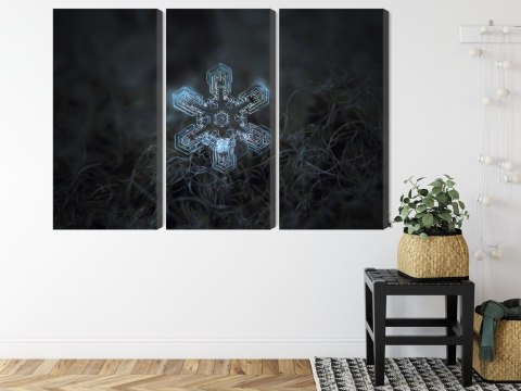 Obraz Wieloczęściowy Płatek Śniegu W Makroskali 3D Canvas Naturalny 180x120 LBS-3833-NC180-120_3X60-120