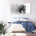 Obraz Wieloczęściowy Niedźwiedź We Mgle 3D Canvas 180x120 LBS-4684-C180-120_1X60-120_2X60-90