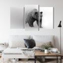Obraz Wieloczęściowy Niedźwiedź We Mgle 3D Canvas 180x120 LBS-4684-C180-120_1X60-120_2X60-90