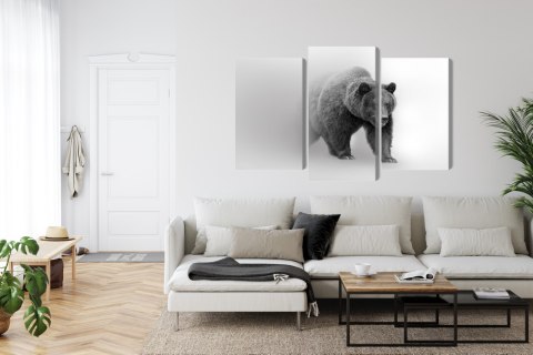 Obraz Wieloczęściowy Niedźwiedź We Mgle 3D Canvas 180x120 LBS-4684-C180-120_1X60-120_2X60-90
