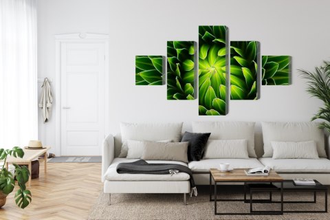 Obraz Wieloczęściowy Zielona Roślina W Skali Makro Canvas 250x150 LBS-3712-C250-150_1X50-150_2X50-100_2X50-50