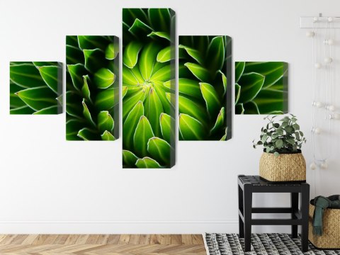 Obraz Wieloczęściowy Zielona Roślina W Skali Makro Canvas Naturalny 250x150 LBS-3712-NC250-150_1X50-150_2X50-100_2X50-50