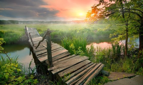 Obraz Wieloczęściowy Łąka O Świcie Canvas 150x90 LBS-4642-C150-90_1X30-90_2X30-60_2X30-30