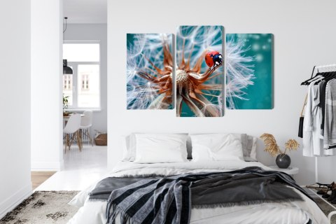 Obraz Wieloczęściowy Biedronka Na Mniszku Lekarskim W Skali Makro Canvas 150x100 LBS-3952-C150-100_1X50-100_2X50-75