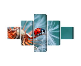 Obraz Wieloczęściowy Biedronka Na Mniszku Lekarskim W Skali Makro Canvas 200x120 LBS-3647-C200-120_1X40-120_2X40-80_2X40-40