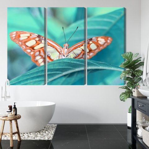 Obraz Wieloczęściowy Motyl Na Liściu W Skali Makro Canvas 150x100 LBS-3938-C150-100_3X50-100