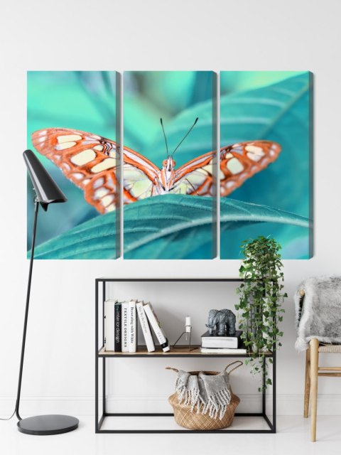 Obraz Wieloczęściowy Motyl Na Liściu W Skali Makro Canvas 150x100 LBS-3938-C150-100_3X50-100