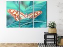 Obraz Wieloczęściowy Motyl Na Liściu W Skali Makro Canvas 180x120 LBS-3938-C180-120_3X60-120