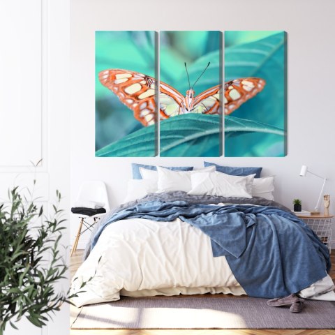 Obraz Wieloczęściowy Motyl Na Liściu W Skali Makro Canvas Naturalny 180x120 LBS-3938-NC180-120_3X60-120