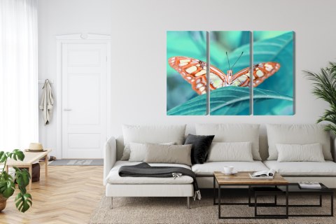 Obraz Wieloczęściowy Motyl Na Liściu W Skali Makro Canvas Naturalny 180x120 LBS-3938-NC180-120_3X60-120