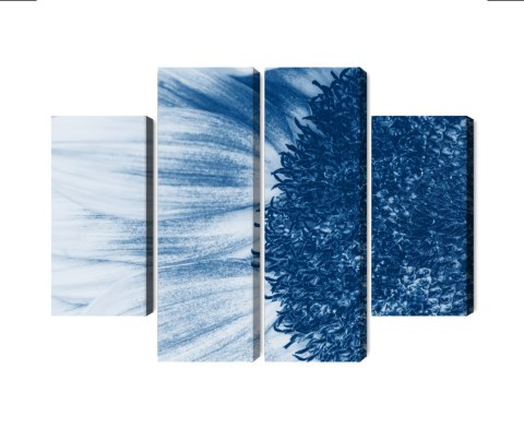 Obraz Wieloczęściowy Niebieski Słonecznik W Skali Makro Canvas 200x150 LBS-3910-C200-150_2X50-150_2X50-100