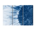 Obraz Wieloczęściowy Niebieski Słonecznik W Skali Makro Canvas Naturalny 120x80 LBS-3908-NC120-80_3X40-80