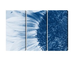 Obraz Wieloczęściowy Niebieski Słonecznik W Skali Makro Canvas Naturalny 120x80 LBS-3908-NC120-80_3X40-80