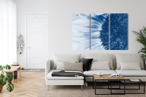 Obraz Wieloczęściowy Niebieski Słonecznik W Skali Makro Canvas Naturalny 150x100 LBS-3908-NC150-100_3X50-100