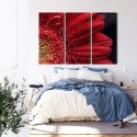 Obraz Wieloczęściowy Płatki Kwiatów W Skali Makro Canvas 150x100 LBS-3847-C150-100_3X50-100