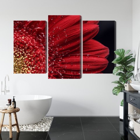 Obraz Wieloczęściowy Płatki Kwiatów W Skali Makro Canvas 150x100 LBS-3849-C150-100_1X50-100_2X50-75