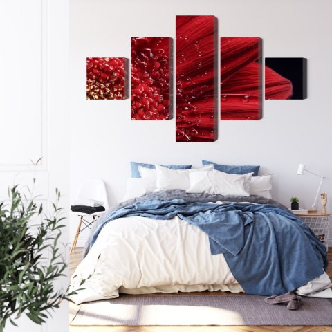 Obraz Wieloczęściowy Płatki Kwiatów W Skali Makro Canvas 150x90 LBS-3852-C150-90_1X30-90_2X30-60_2X30-30
