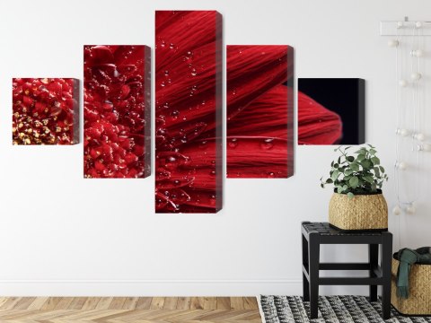 Obraz Wieloczęściowy Płatki Kwiatów W Skali Makro Canvas 150x90 LBS-3852-C150-90_1X30-90_2X30-60_2X30-30