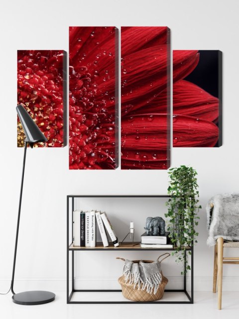 Obraz Wieloczęściowy Płatki Kwiatów W Skali Makro Canvas 160x120 LBS-3850-C160-120_2X40-120_2X40-80
