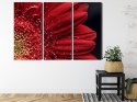 Obraz Wieloczęściowy Płatki Kwiatów W Skali Makro Canvas 180x120 LBS-3847-C180-120_3X60-120