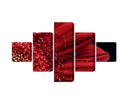 Obraz Wieloczęściowy Płatki Kwiatów W Skali Makro Canvas 200x120 LBS-3852-C200-120_1X40-120_2X40-80_2X40-40