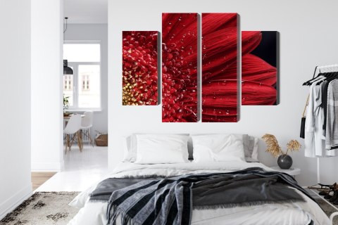 Obraz Wieloczęściowy Płatki Kwiatów W Skali Makro Canvas 200x150 LBS-3850-C200-150_2X50-150_2X50-100