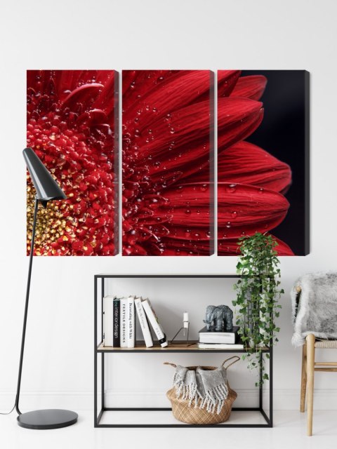 Obraz Wieloczęściowy Płatki Kwiatów W Skali Makro Canvas Naturalny 120x80 LBS-3847-NC120-80_3X40-80