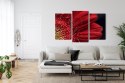 Obraz Wieloczęściowy Płatki Kwiatów W Skali Makro Canvas Naturalny 120x80 LBS-3849-NC120-80_1X40-80_2X40-60