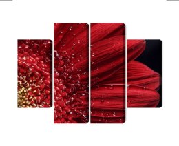 Obraz Wieloczęściowy Płatki Kwiatów W Skali Makro Canvas Naturalny 120x90 LBS-3850-NC120-90_2X30-90_2X30-60