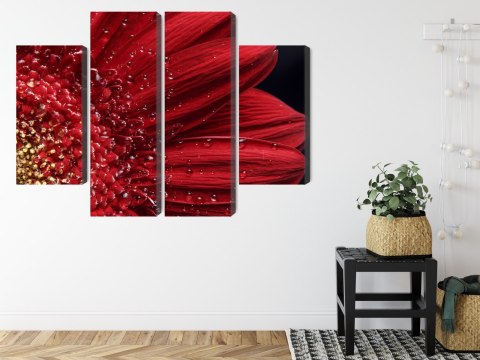 Obraz Wieloczęściowy Płatki Kwiatów W Skali Makro Canvas Naturalny 120x90 LBS-3850-NC120-90_2X30-90_2X30-60