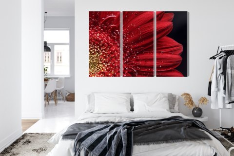 Obraz Wieloczęściowy Płatki Kwiatów W Skali Makro Canvas Naturalny 150x100 LBS-3847-NC150-100_3X50-100