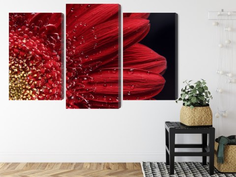 Obraz Wieloczęściowy Płatki Kwiatów W Skali Makro Canvas Naturalny 150x100 LBS-3849-NC150-100_1X50-100_2X50-75