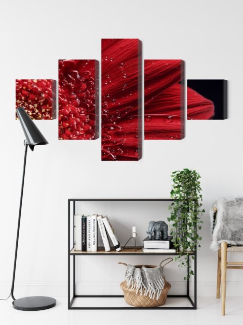 Obraz Wieloczęściowy Płatki Kwiatów W Skali Makro Canvas Naturalny 150x90 LBS-3852-NC150-90_1X30-90_2X30-60_2X30-30