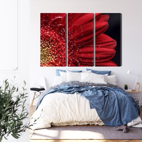 Obraz Wieloczęściowy Płatki Kwiatów W Skali Makro Canvas Naturalny 180x120 LBS-3847-NC180-120_3X60-120