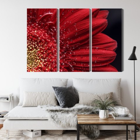 Obraz Wieloczęściowy Płatki Kwiatów W Skali Makro Canvas Naturalny 180x120 LBS-3847-NC180-120_3X60-120