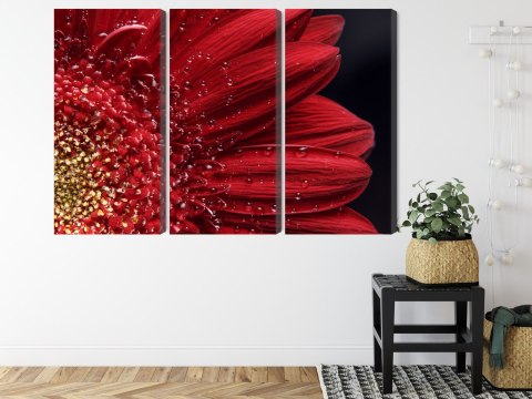 Obraz Wieloczęściowy Płatki Kwiatów W Skali Makro Canvas Naturalny 180x120 LBS-3847-NC180-120_3X60-120