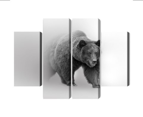 Obraz Wieloczęściowy Niedźwiedź We Mgle 3D Canvas 160x120 LBS-4685-C160-120_2X40-120_2X40-80