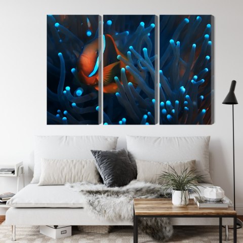 Obraz Wieloczęściowy Błazenek W Anemonie 3D Canvas Naturalny 180x120 LBS-3663-NC180-120_3X60-120