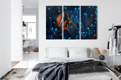 Obraz Wieloczęściowy Błazenek W Anemonie 3D Canvas Naturalny 180x120 LBS-3663-NC180-120_3X60-120