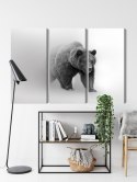 Obraz Wieloczęściowy Niedźwiedź We Mgle 3D Canvas 150x100 LBS-4683-C150-100_3X50-100